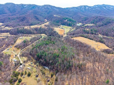 Tiny photo for 0 Puppy Creek, Amherst, VA 24521 (MLS # 365054)