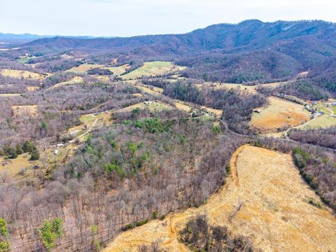 Tiny photo for 0 Puppy Creek, Amherst, VA 24521 (MLS # 365054)