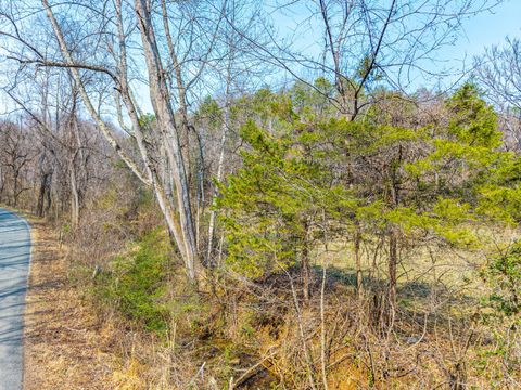 Tiny photo for 0 Puppy Creek, Amherst, VA 24521 (MLS # 365054)