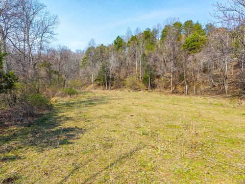 Tiny photo for 0 Puppy Creek, Amherst, VA 24521 (MLS # 365054)