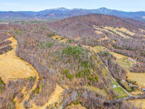 Tiny photo for 0 Puppy Creek, Amherst, VA 24521 (MLS # 365054)