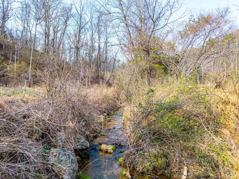 Tiny photo for 0 Puppy Creek, Amherst, VA 24521 (MLS # 365054)