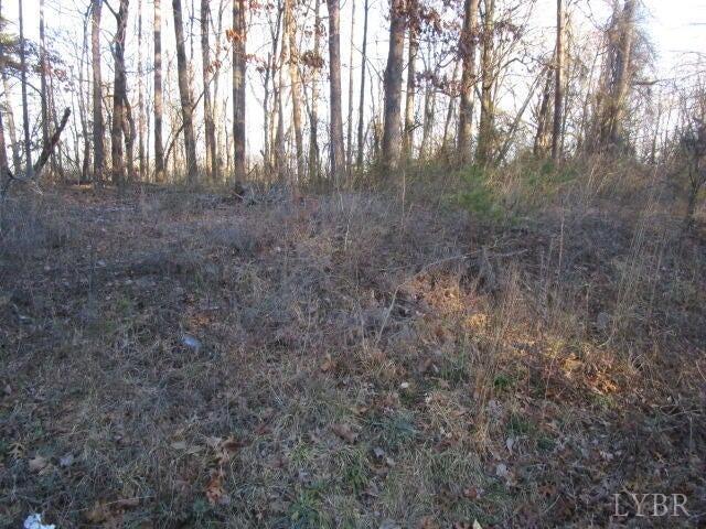 Carver Road, Martinsville, Virginia image 4