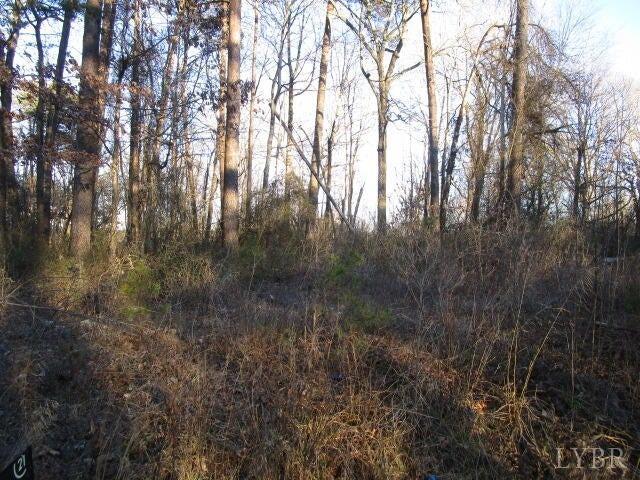 Carver Road, Martinsville, Virginia image 5