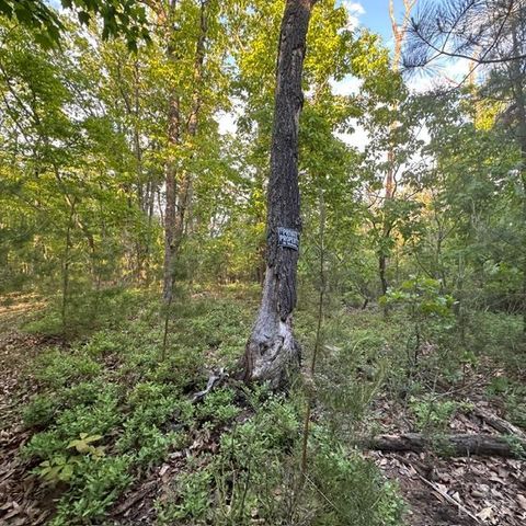 Tiny photo for 0 Kingswood Lane, Lynchburg, VA 24504 (MLS # 366511)