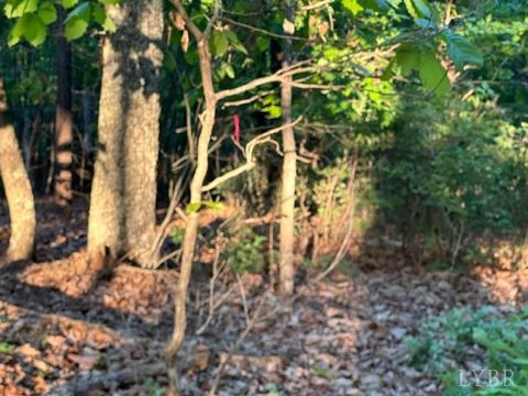 Tiny photo for 0 Kingswood Lane, Lynchburg, VA 24504 (MLS # 366511)