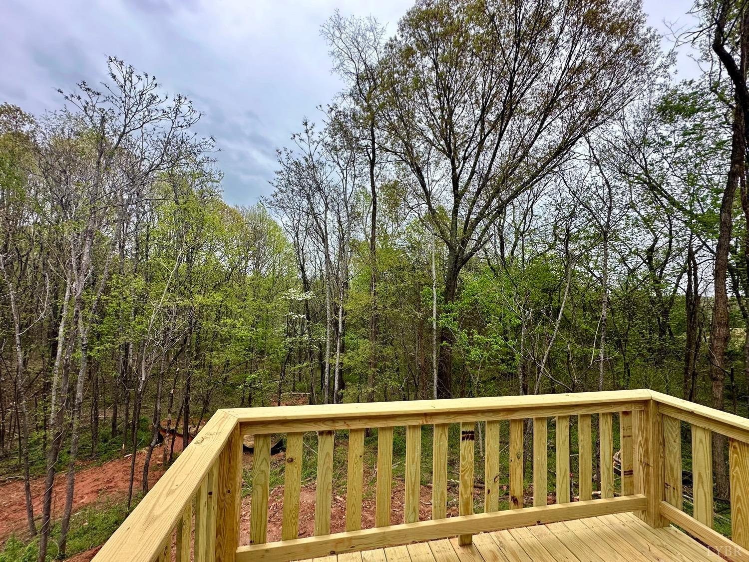 1484 White House Rd, Moneta, Virginia image 8