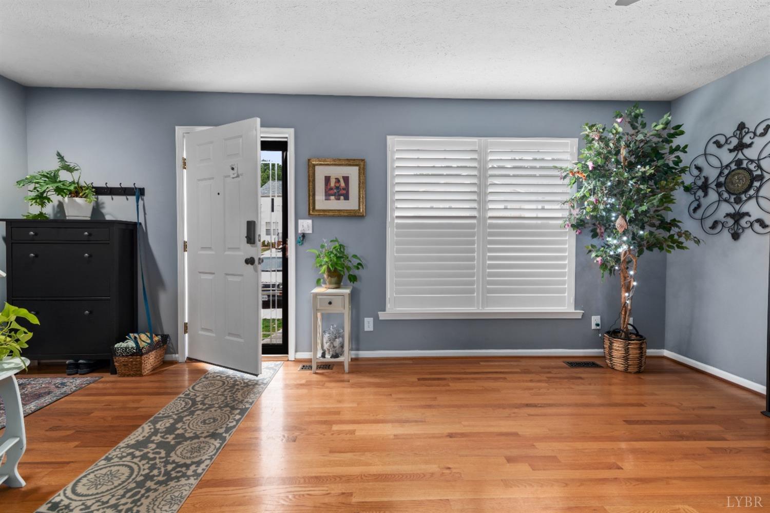 1064 Blue Ridge View Circle, Forest, Virginia image 3