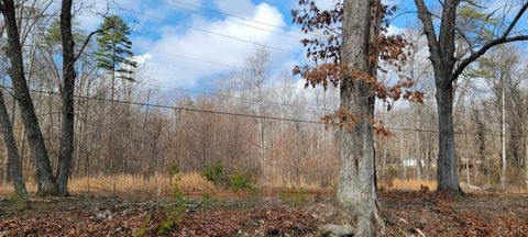 Vacant Land For Sale - Riverview Road<br/> Madison Heights, VA 24572