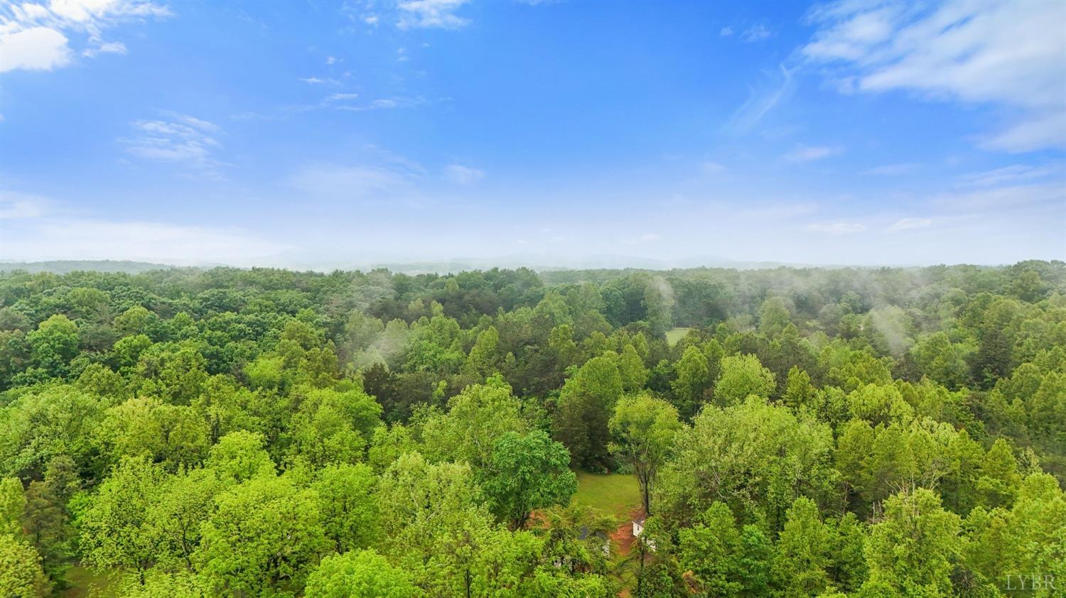 260 Scotts Farm Road, Lynchburg, Virginia image 42