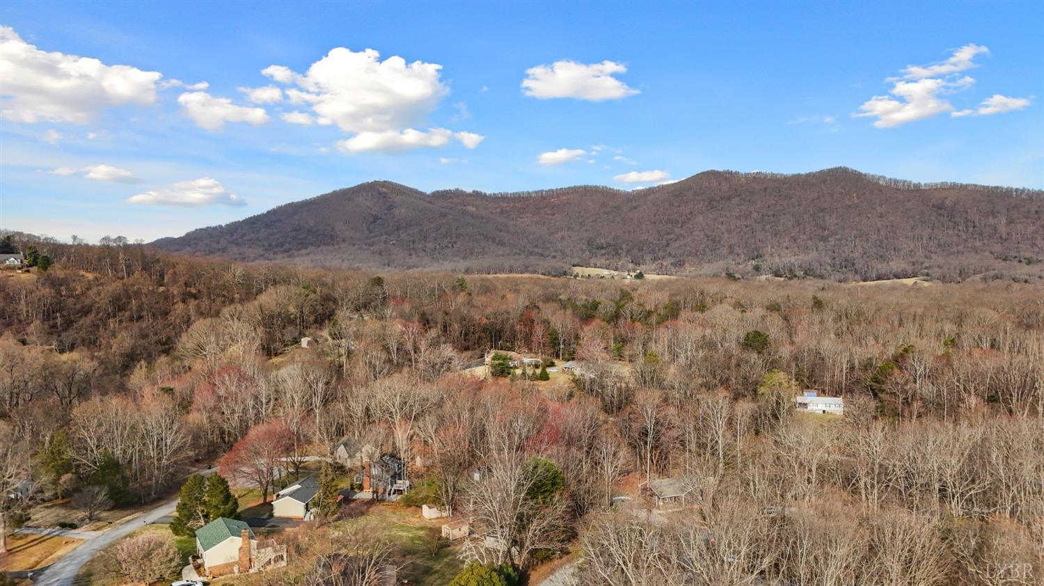 1914 Walnut Hollow Road, Lynchburg, Virginia image 46