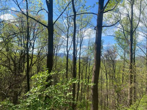 Tiny photo for 2728 E Branch Loop Loop, Roseland, VA 22967 (MLS # 362908)