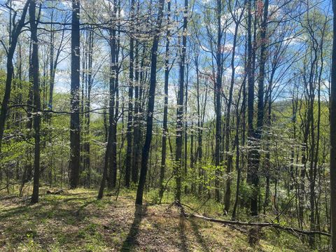 Tiny photo for 2728 E Branch Loop Loop, Roseland, VA 22967 (MLS # 362908)