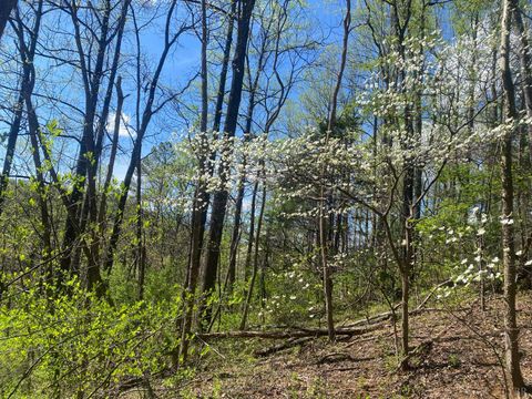 Tiny photo for 2728 E Branch Loop Loop, Roseland, VA 22967 (MLS # 362908)