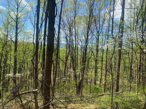 Tiny photo for 2728 E Branch Loop Loop, Roseland, VA 22967 (MLS # 362908)