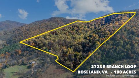 Tiny photo for 2728 E Branch Loop Loop, Roseland, VA 22967 (MLS # 362908)