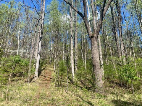 Tiny photo for 2728 E Branch Loop Loop, Roseland, VA 22967 (MLS # 362908)