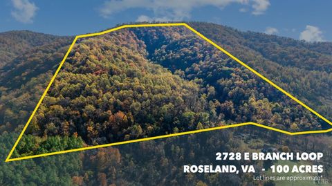 Tiny photo for 2728 E Branch Loop Loop, Roseland, VA 22967 (MLS # 362908)