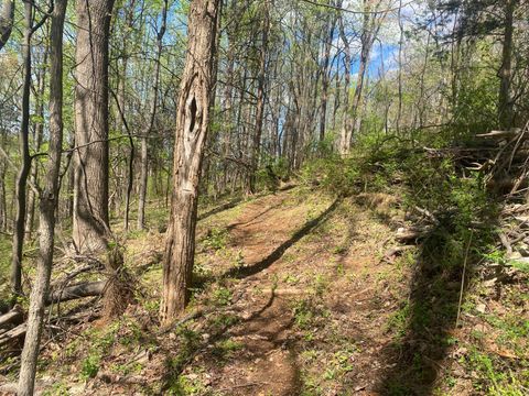 Tiny photo for 2728 E Branch Loop Loop, Roseland, VA 22967 (MLS # 362908)