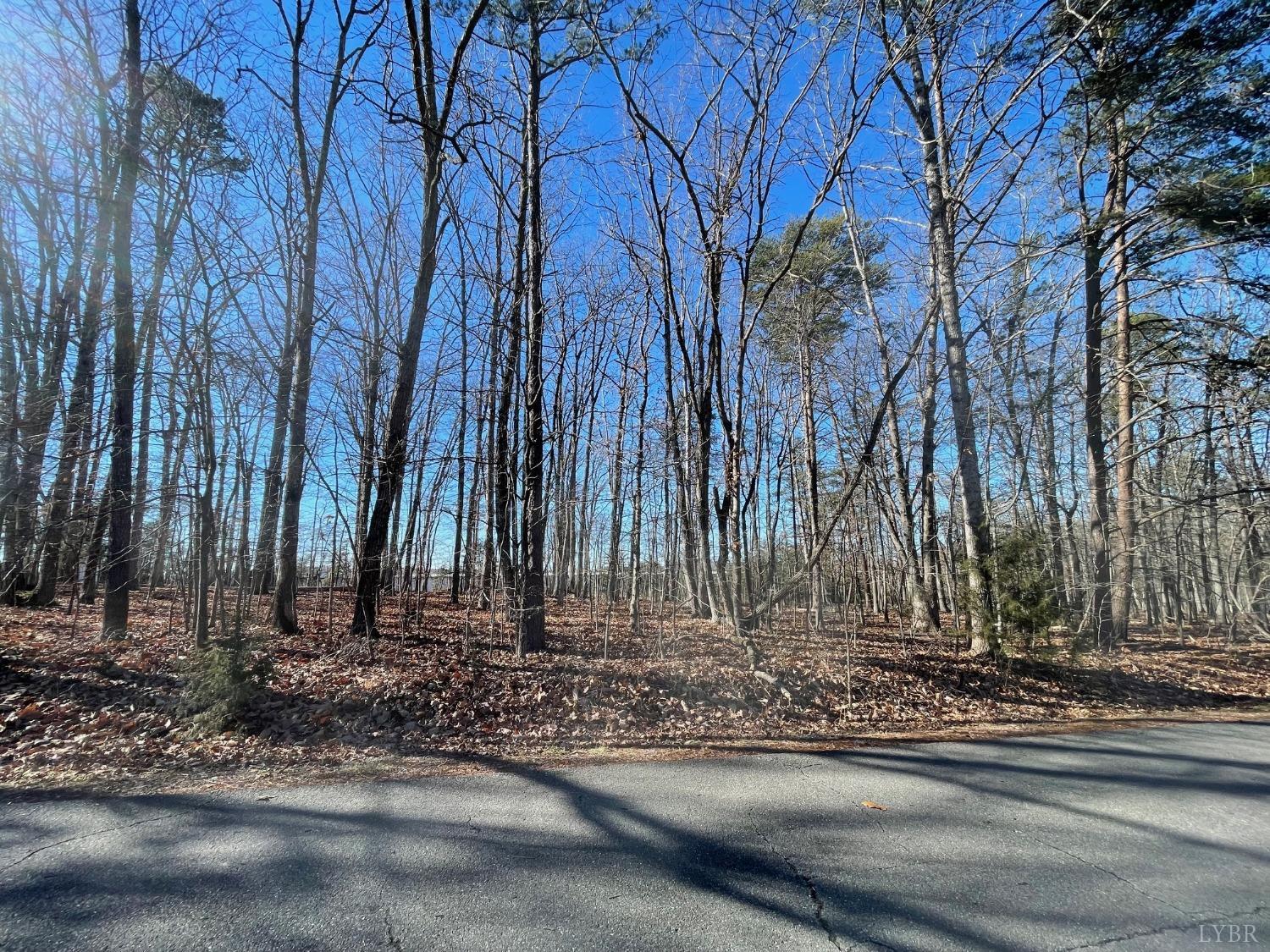 1816 Avondale Drive, Altavista, Virginia image 3