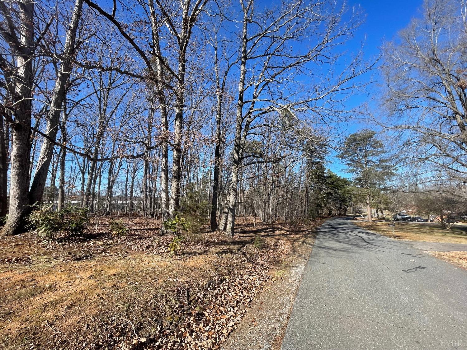 1816 Avondale Drive, Altavista, Virginia image 5