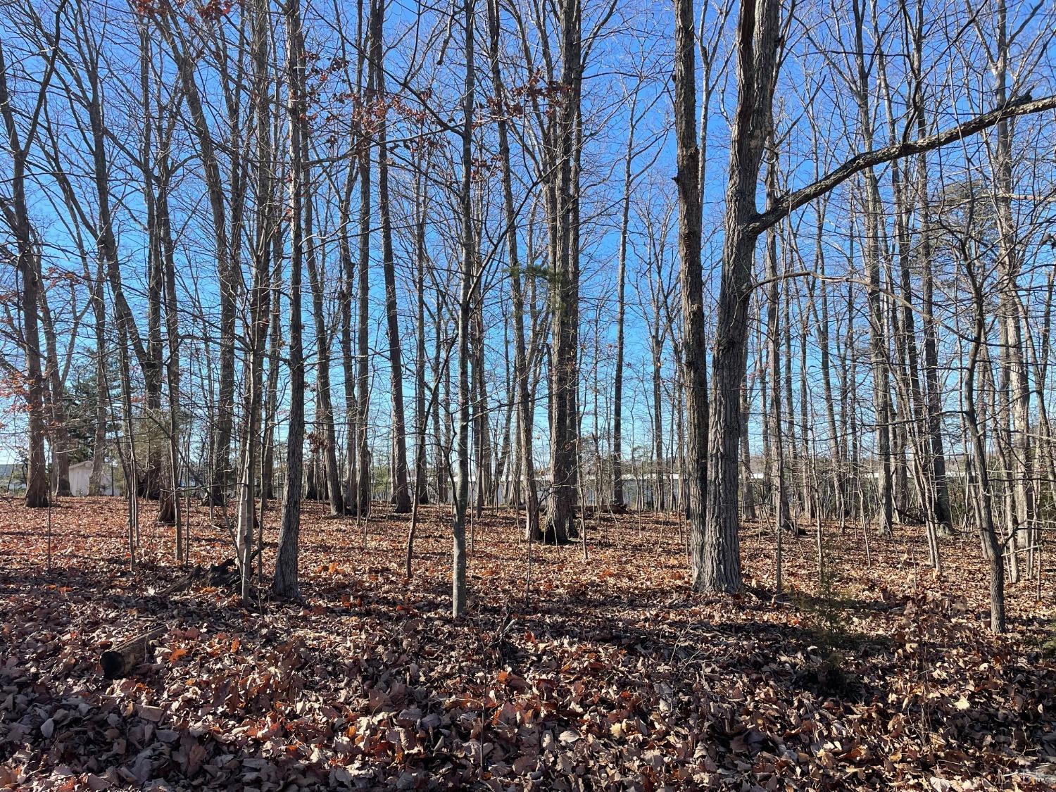 1816 Avondale Drive, Altavista, Virginia image 4
