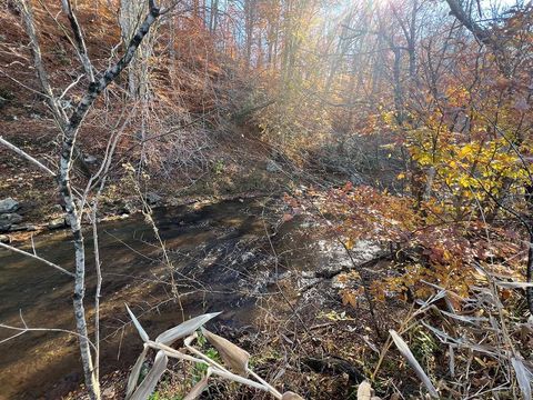 Tiny photo for 273 Airsports Dr, Amherst, VA 24521 (MLS # 363091)