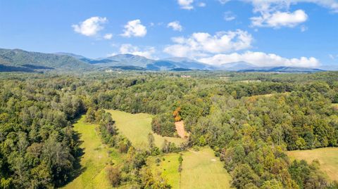 Tiny photo for 477 Gidsville Road, Amherst, VA 24521 (MLS # 362344)