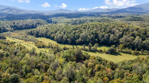 Tiny photo for 477 Gidsville Road, Amherst, VA 24521 (MLS # 362344)