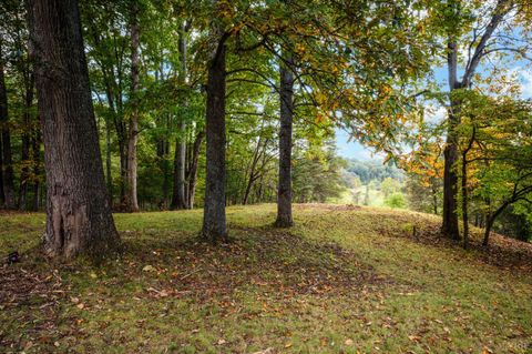 Tiny photo for 477 Gidsville Road, Amherst, VA 24521 (MLS # 362344)