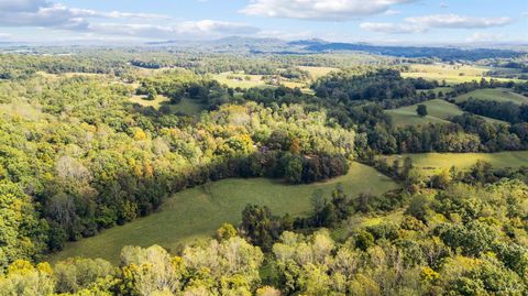Tiny photo for 477 Gidsville Road, Amherst, VA 24521 (MLS # 362344)