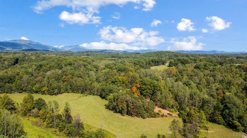 Tiny photo for 477 Gidsville Road, Amherst, VA 24521 (MLS # 362344)