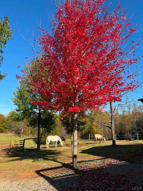 Tiny photo for 651 Scott Jacobs Memorial Drive, Gretna, VA 24557 (MLS # 365991)