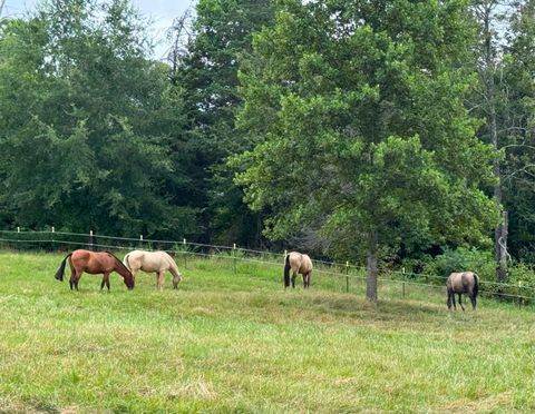 Tiny photo for 651 Scott Jacobs Memorial Drive, Gretna, VA 24557 (MLS # 365991)