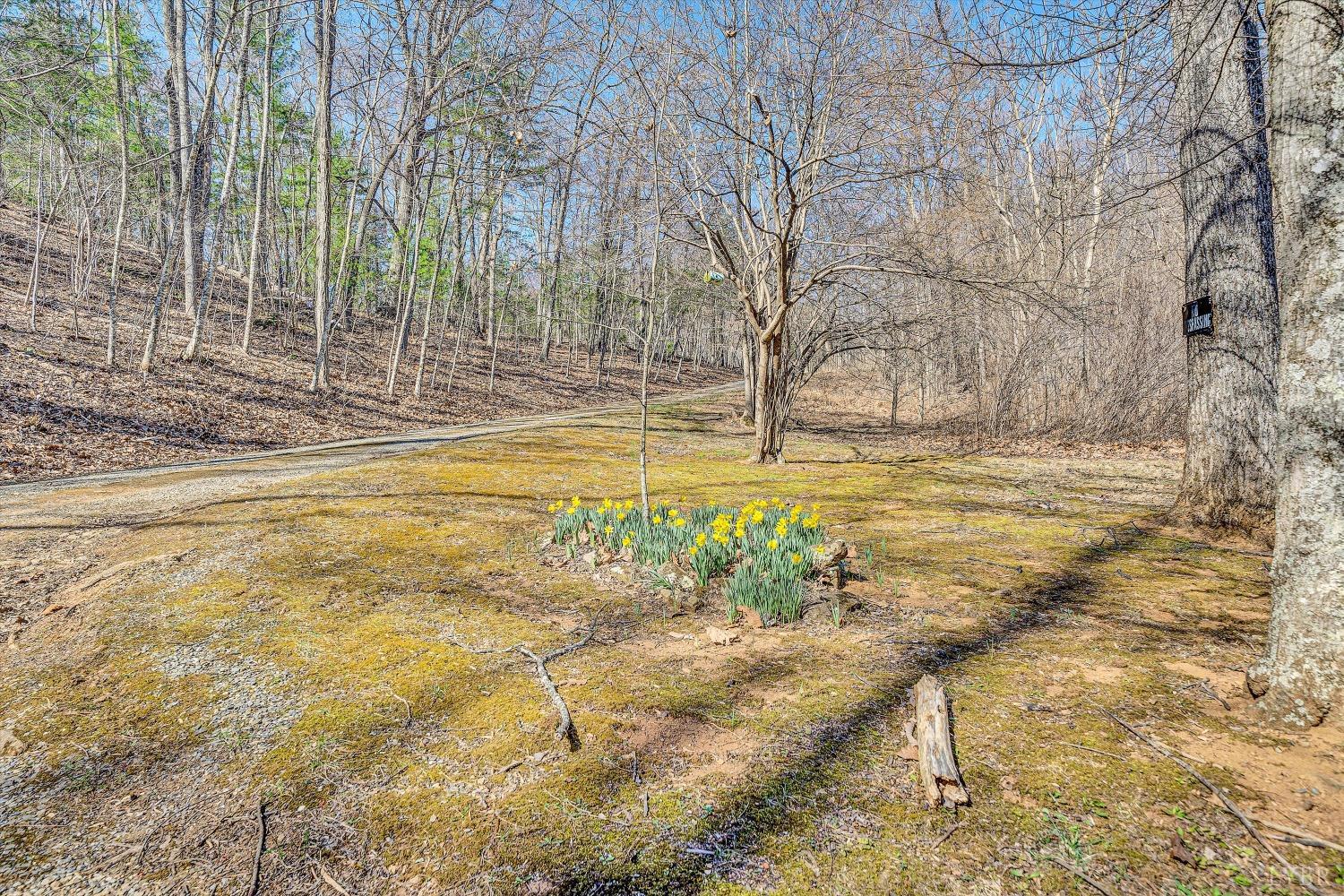 1052 Timber Court, Big Island, Virginia image 27