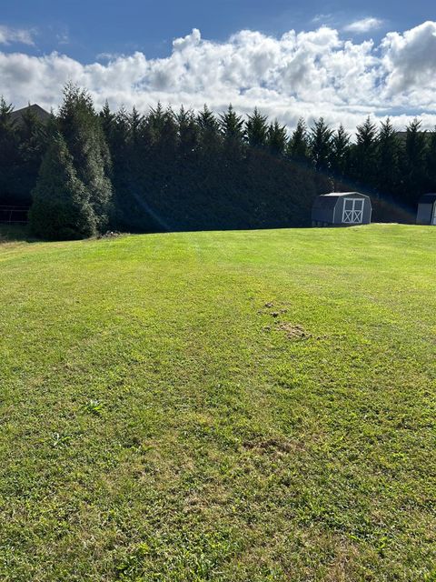 Tiny photo for 92 Green Hill Drive, Forest, VA 24551 (MLS # 362547)