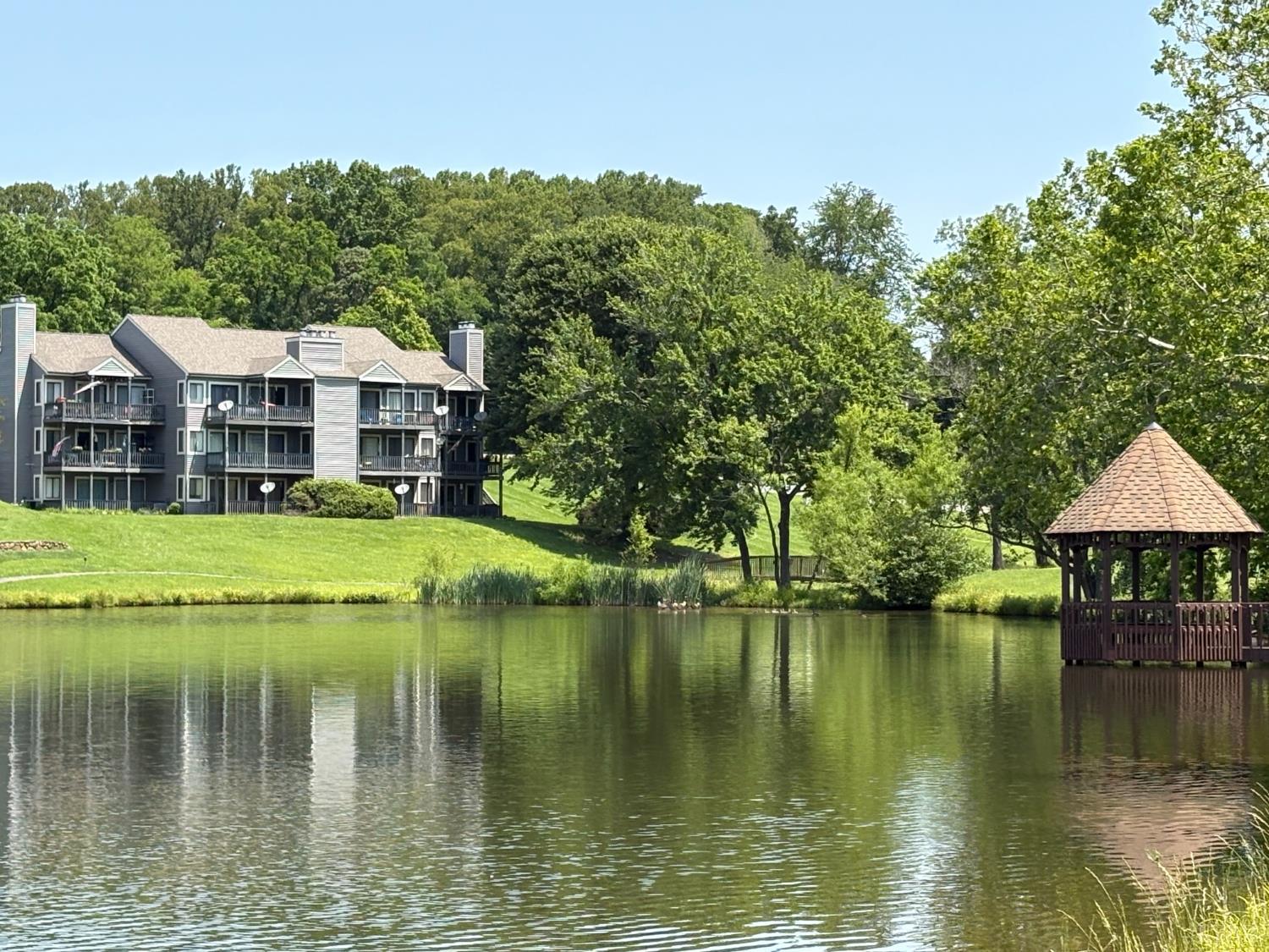 161 Sunset Ridge, Forest, Virginia image 15