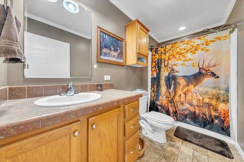 Tiny photo for 1060 Marble Creek Court, Lynch Station, VA 24571 (MLS # 364990)