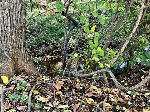 Tiny photo for 1287 Emerald Crest Dr Dr, Bedford, VA 24523 (MLS # 362403)