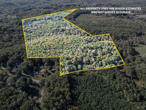 Photo of 386 Platuea Drive, Evington, VA 24550 (MLS # 362578)
