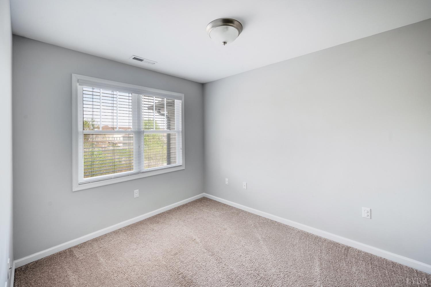 1057 Casley Way, Forest, Virginia image 19