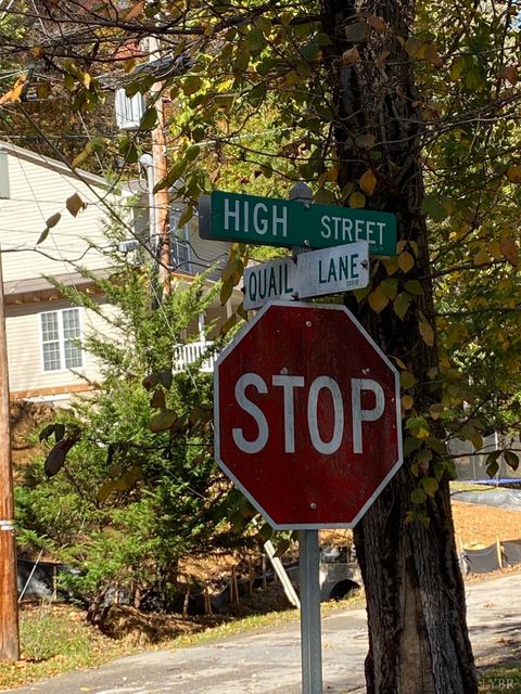 Tiny photo for 0 Quail Lane, Salem, VA 24153 (MLS # 362699)