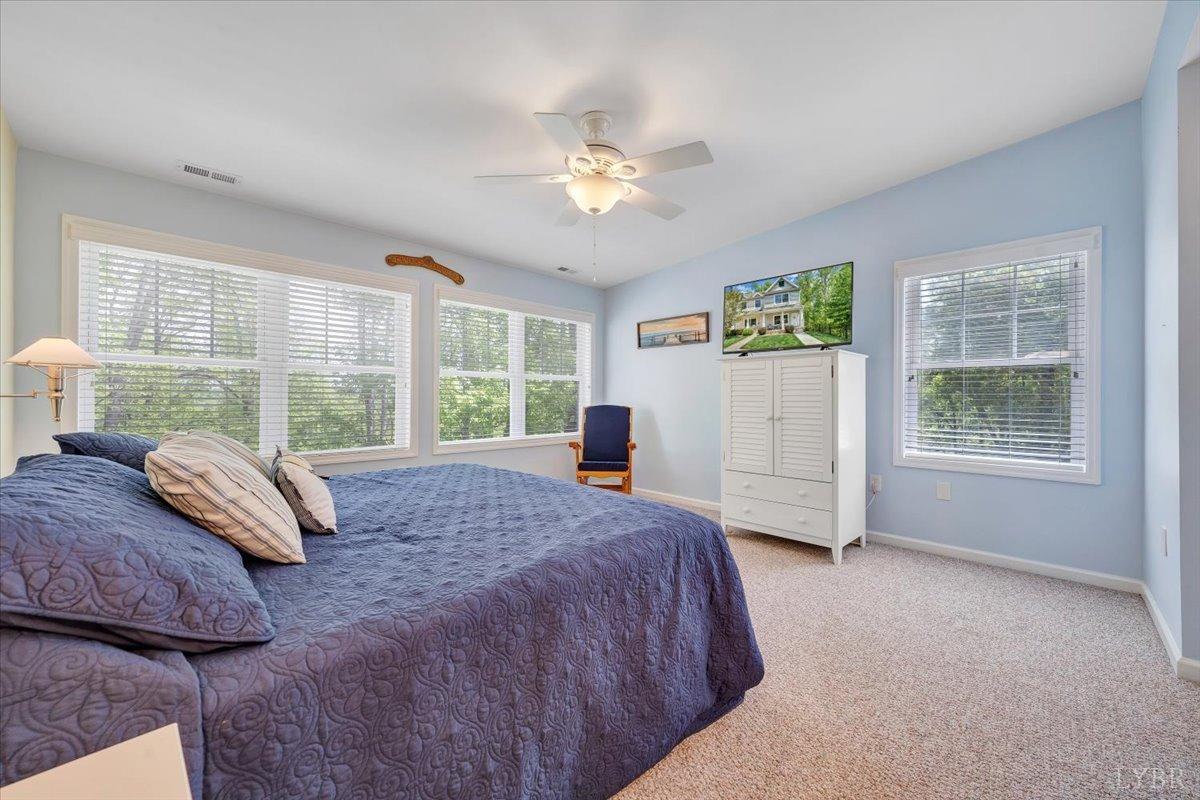 232 Mountain Cove Dr #C6, Hardy, Virginia image 25