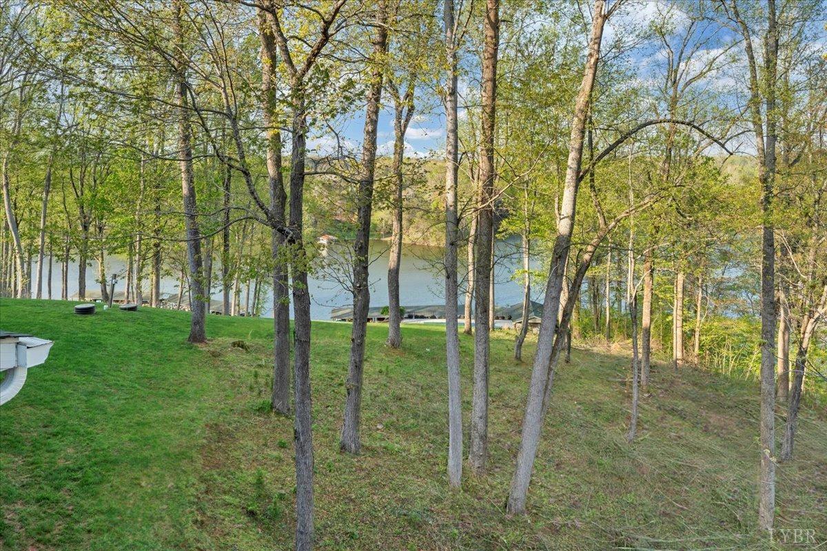 232 Mountain Cove Dr #C6, Hardy, Virginia image 41