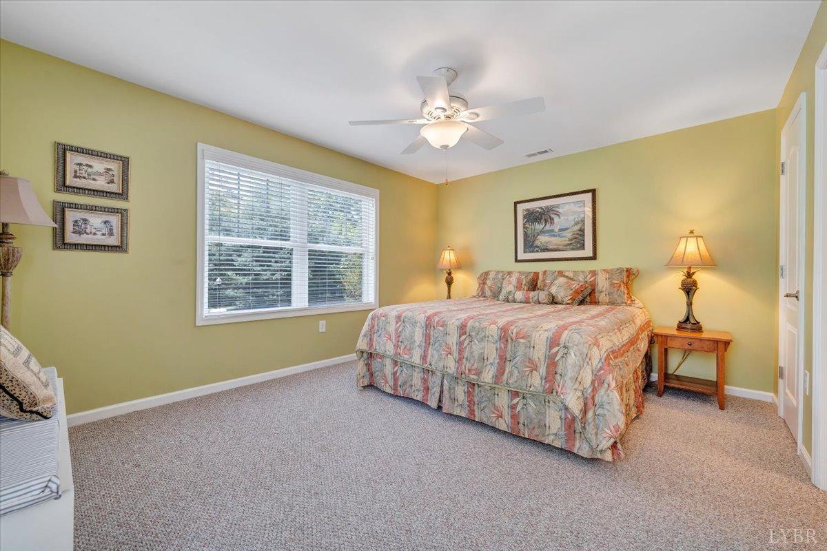232 Mountain Cove Dr #C6, Hardy, Virginia image 28