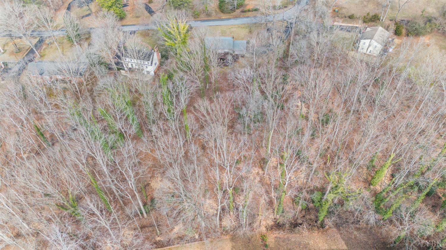 2217 Beech Ave, Altavista, Virginia image 44