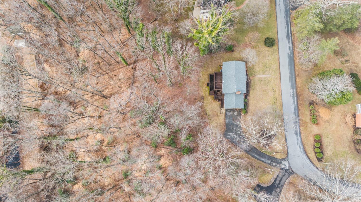2217 Beech Ave, Altavista, Virginia image 46