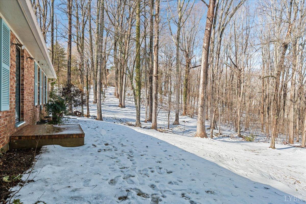 1228 Rendezvous Lane, Bedford, Virginia image 35
