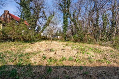 Tiny photo for 911 6th Street, Lynchburg, VA 24504 (MLS # 365041)