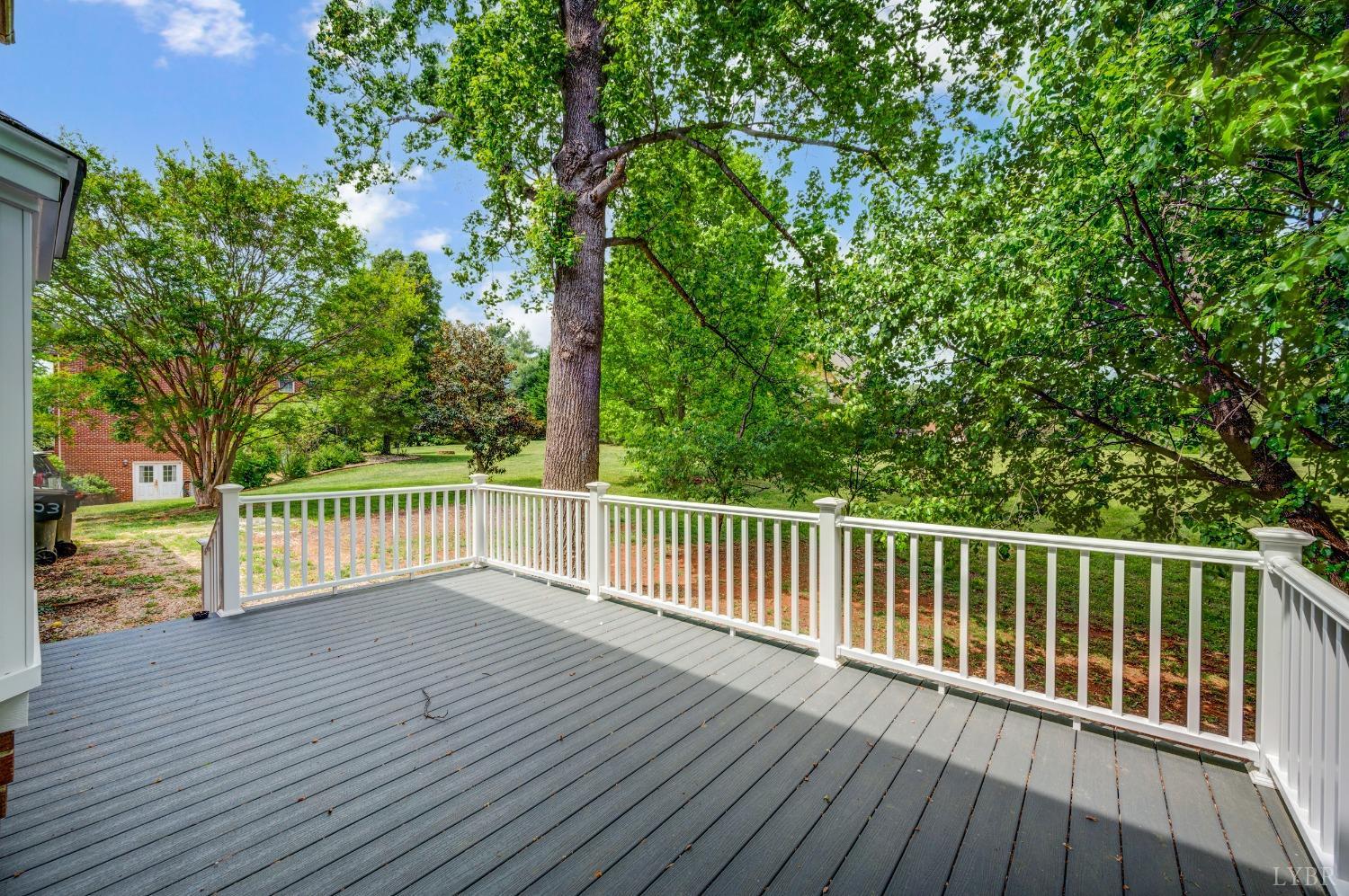 302 Spring Lake Road, Forest, Virginia image 5